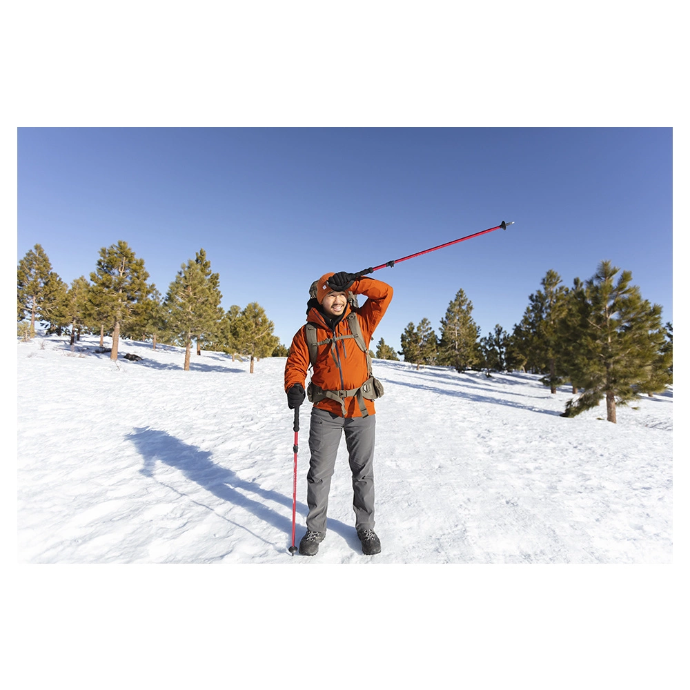 Alps Mountaineering Conquest Trekking Pole 11 Alps Mountaineering Conquest Trekking Pole - Image 10