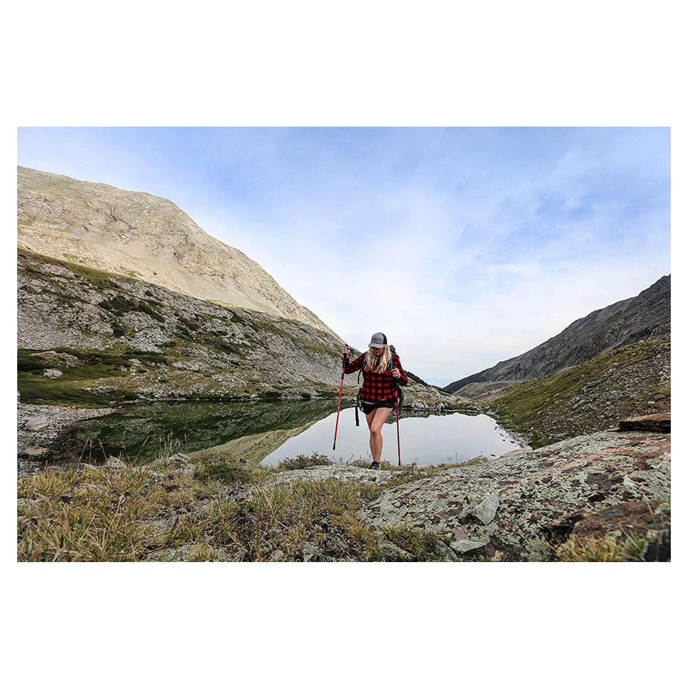 Alps Mountaineering Conquest Trekking Pole 10 Alps Mountaineering Conquest Trekking Pole - Image 9