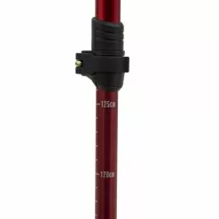 Alps Mountaineering Conquest Trekking Pole 14 Alps Mountaineering Conquest Trekking Pole -Alps Mountaineering Store Conquest Trekking Pole 2018 Adjustable