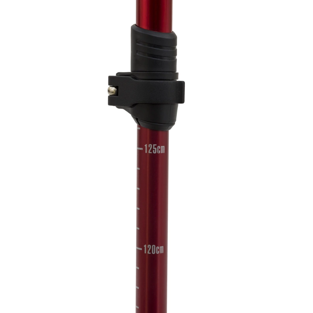 Alps Mountaineering Conquest Trekking Pole 5 Alps Mountaineering Conquest Trekking Pole - Image 4
