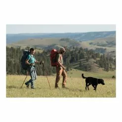 Alps Mountaineering Conquest Trekking Pole 17 Alps Mountaineering Conquest Trekking Pole -Alps Mountaineering Store conquest trekking poles B0784692DC PT06