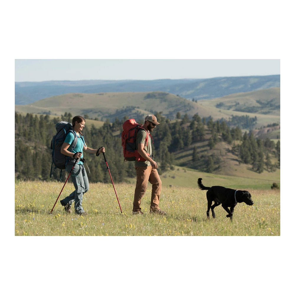 Alps Mountaineering Conquest Trekking Pole 8 Alps Mountaineering Conquest Trekking Pole - Image 7